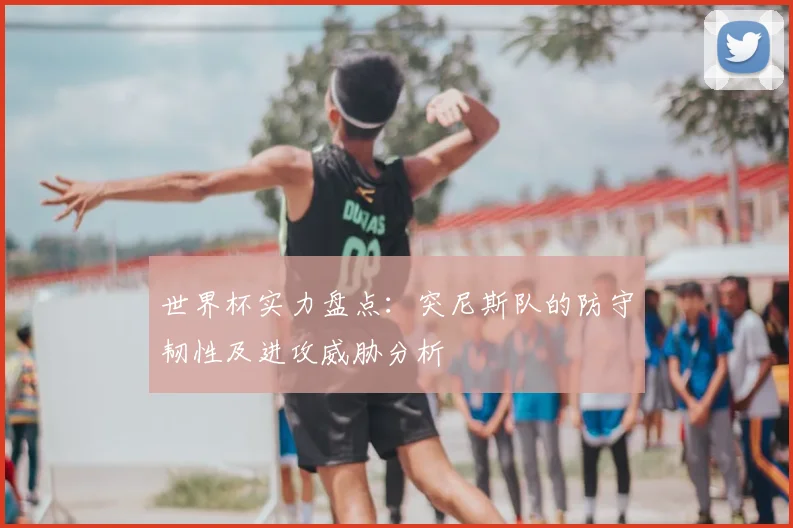 世界杯实力盘点：突尼斯队的防守韧性及进攻威胁分析