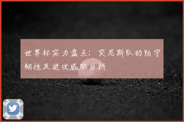 世界杯实力盘点：突尼斯队的防守韧性及进攻威胁分析